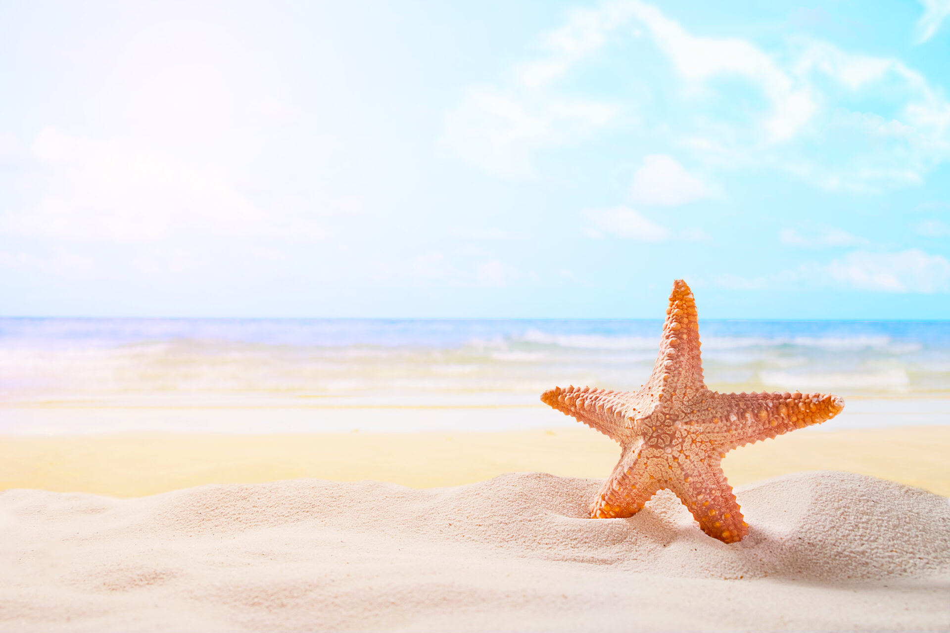 Starfish on summer sunny beach  at ocean background. Travel, vacation concepts.